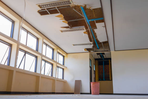 Best Water damage cleanup near me  in Cochituate, MA