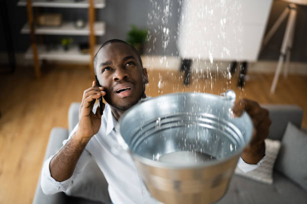 Best Flood damage cleanup  in Cochituate, MA