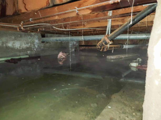 Best Water damage restoration near me  in Cochituate, MA