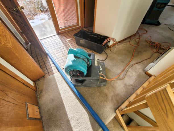 Water damage restoration insurance claims in Cochituate, MA