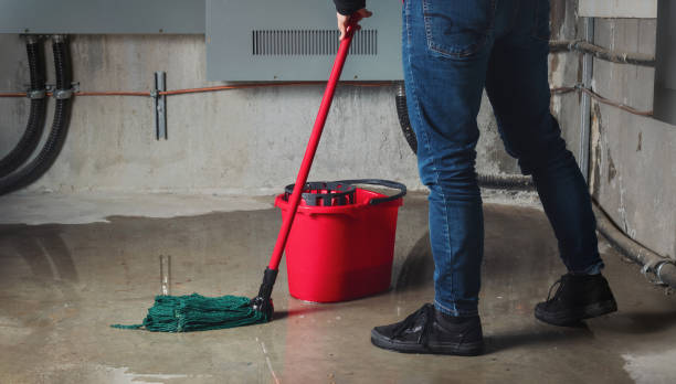 Best Ceiling water damage repair  in Cochituate, MA