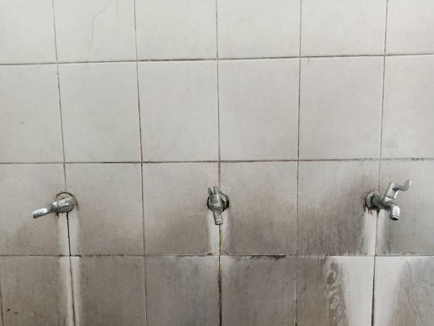 Best 24-hour water damage restoration  in Cochituate, MA