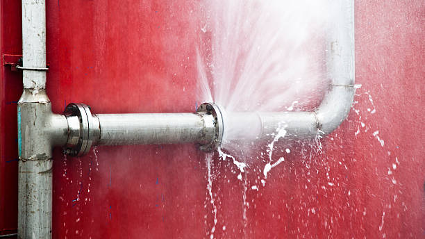 Water damage restoration mold remediation in Cochituate, MA